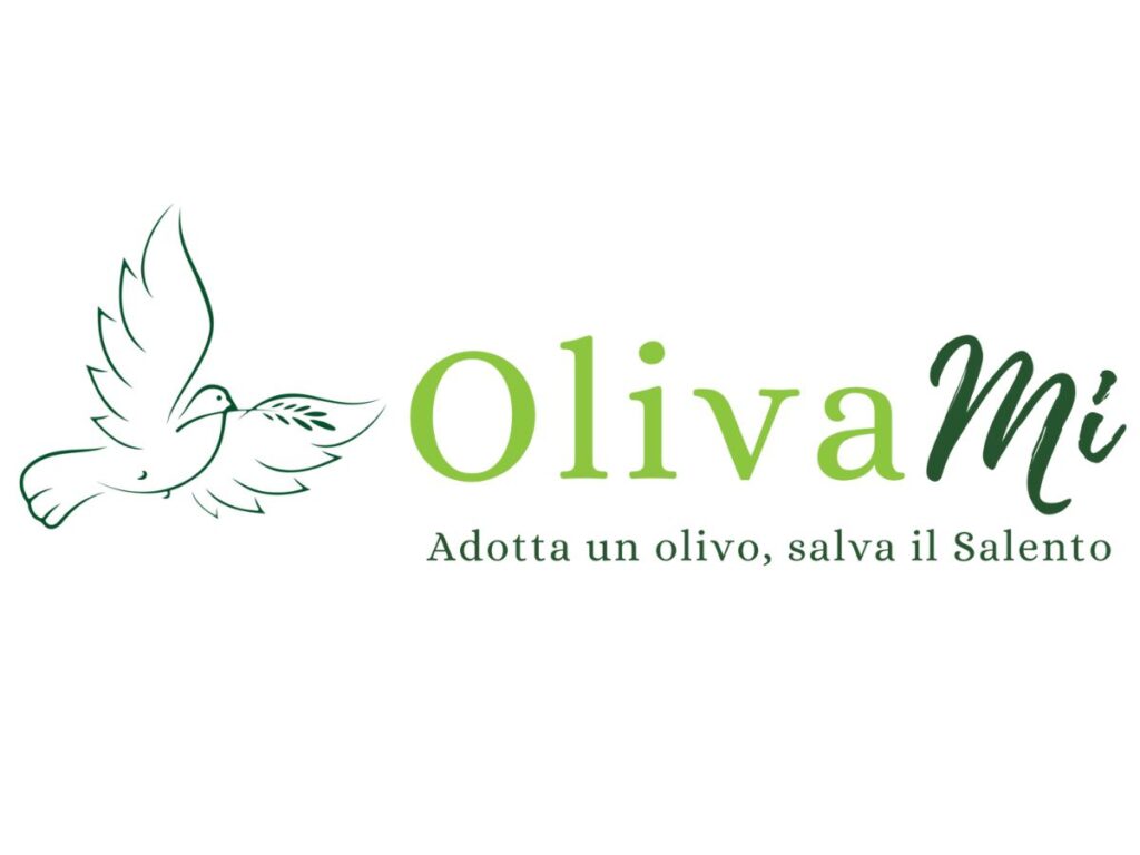 Olivami: un progetto di rinascita per le campagne pugliesi