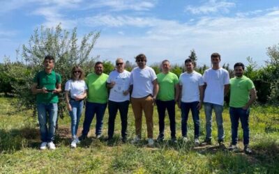 Olivami: un progetto di rinascita per le campagne pugliesi