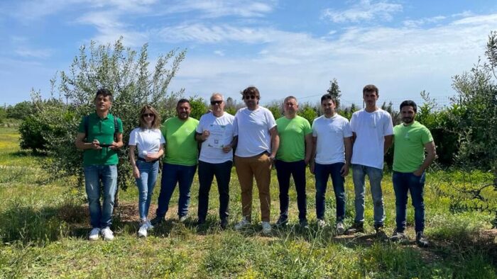 Olivami: un progetto di rinascita per le campagne pugliesi