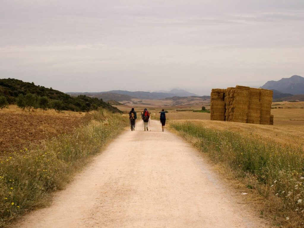 pellegrini di turismo religioso in puglia che camminano su strada di campagna